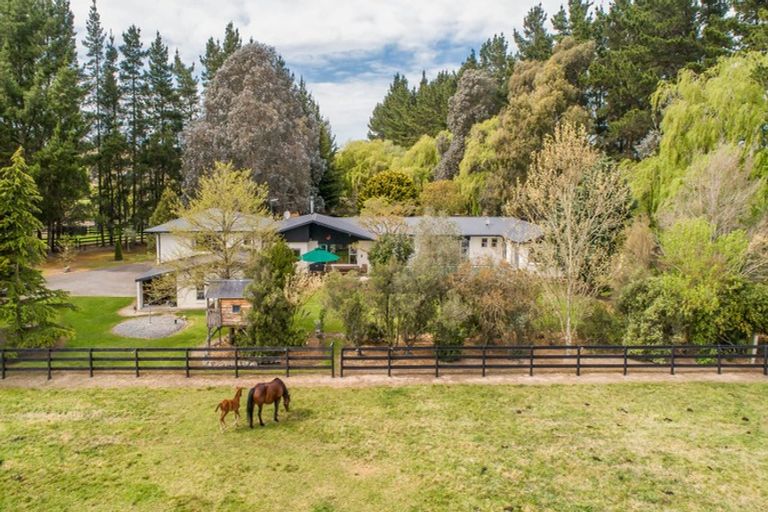 Photo of property in 344 Lineside Road, Flaxton, Kaiapoi, 7691