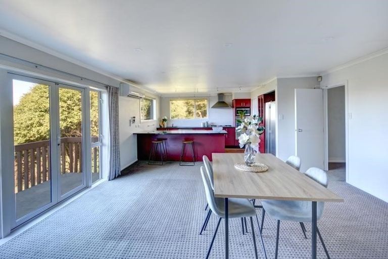 Photo of property in 45 Leven Street, Roslyn, Dunedin, 9010