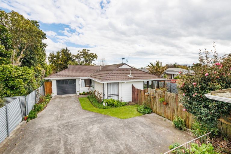 Photo of property in 36a Wood Street, Takaro, Palmerston North, 4410