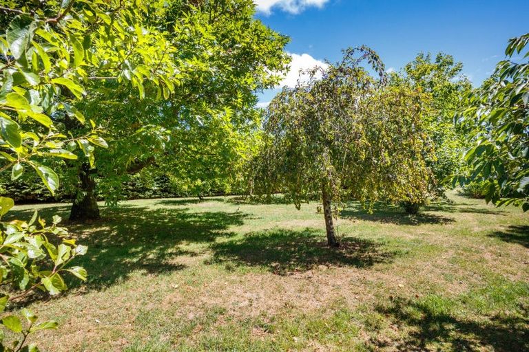 Photo of property in 265 Taonui Road, Aorangi, Feilding, 4775