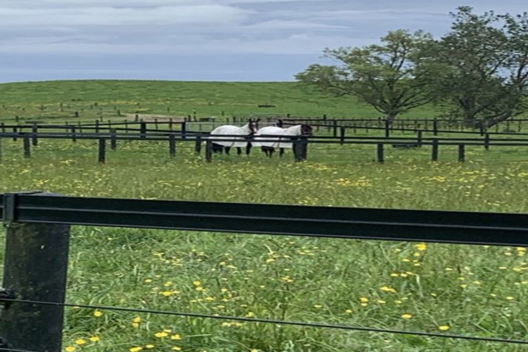 Photo of property in 157 Norfolk Road, Norfolk, Inglewood, 4388