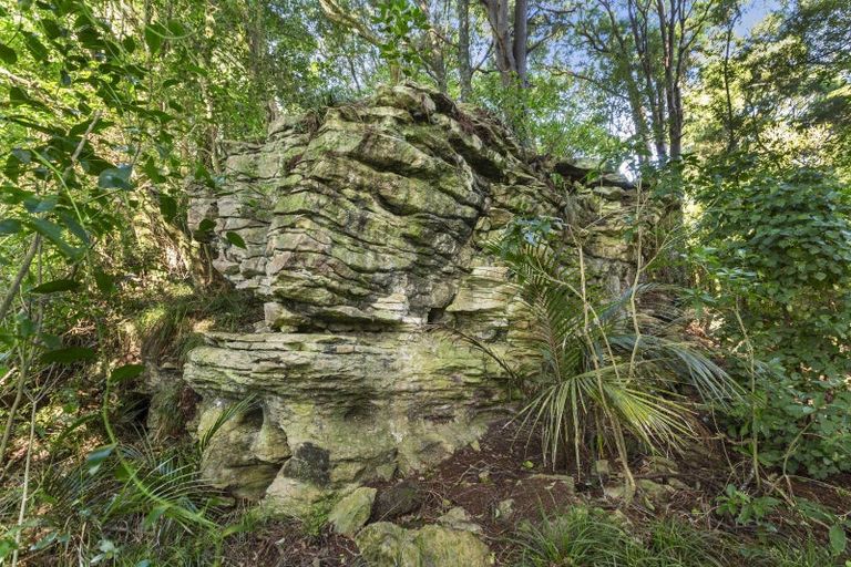 Photo of property in 209 Ohautira Road, Raglan, 3295