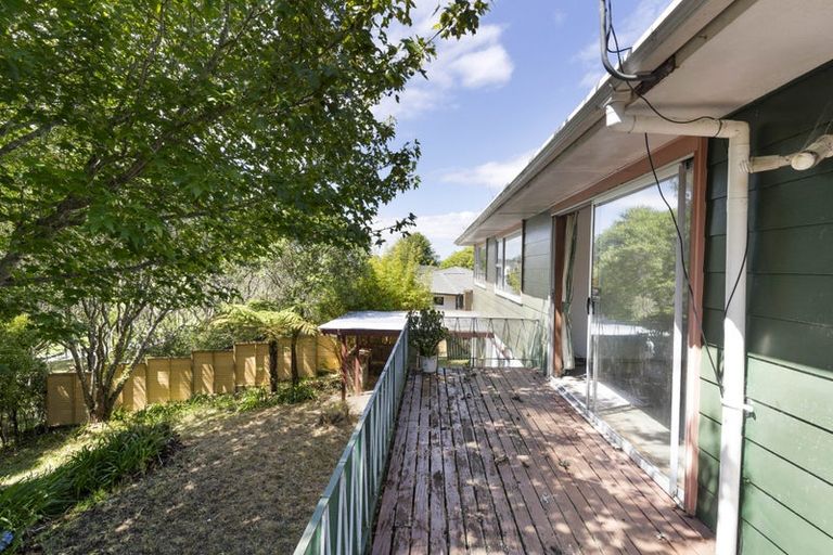 Photo of property in 106 Sycamore Drive, Sunnynook, Auckland, 0620