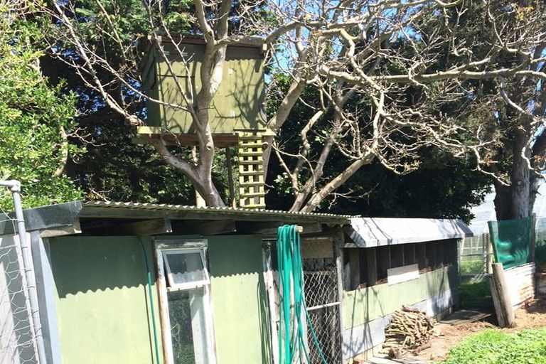 Photo of property in 55 Bignell Street, Gonville, Whanganui, 4501