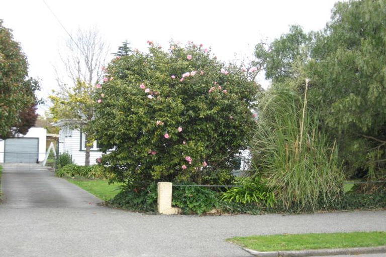 Photo of property in 105 Harley Street, Solway, Masterton, 5810