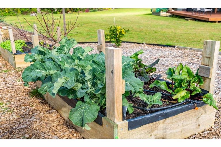 Photo of property in 76 Riverstream Drive, Waipapa, Kerikeri, 0295