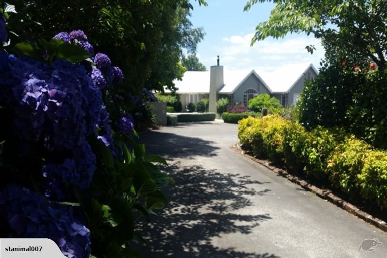 Photo of property in 519 Puniu Road, Te Awamutu, 3800