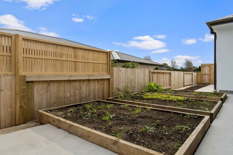Photo of property in 45c Western Avenue, Omokoroa, 3114