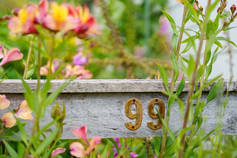 Photo of property in 99 Settlement Road, Te Horo, Otaki, 5582