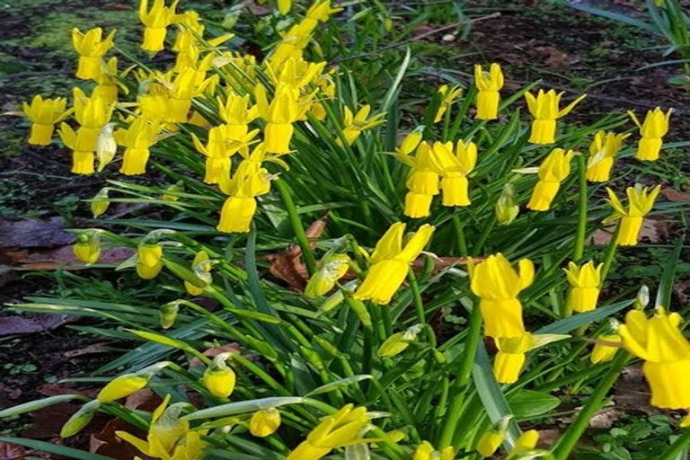 Photo of property in 38 Grammar Street, Kimbolton, 4777