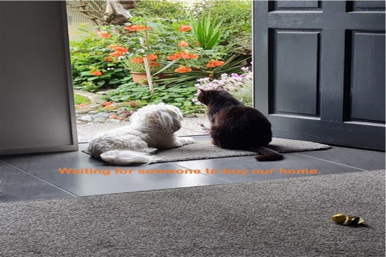 Photo of property in 2/102 Southampton Street West, Hastings, 4122