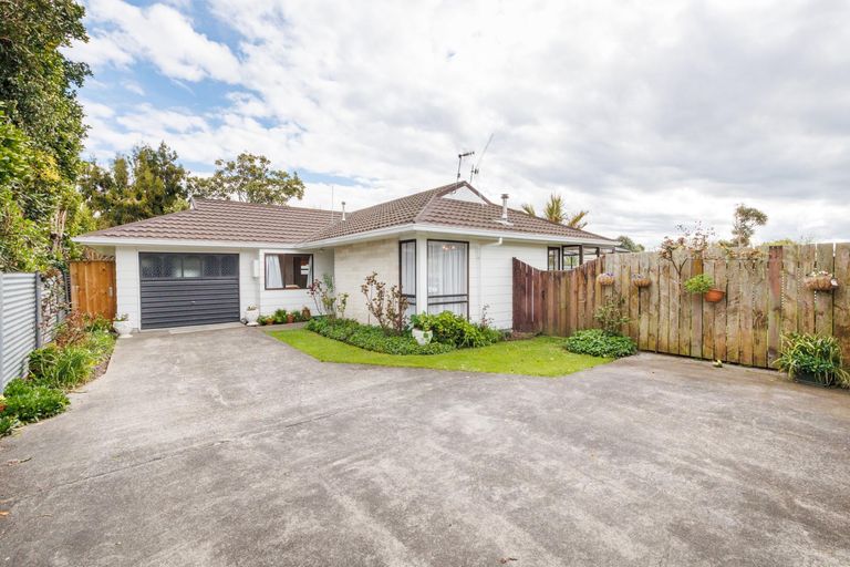 Photo of property in 36a Wood Street, Takaro, Palmerston North, 4410