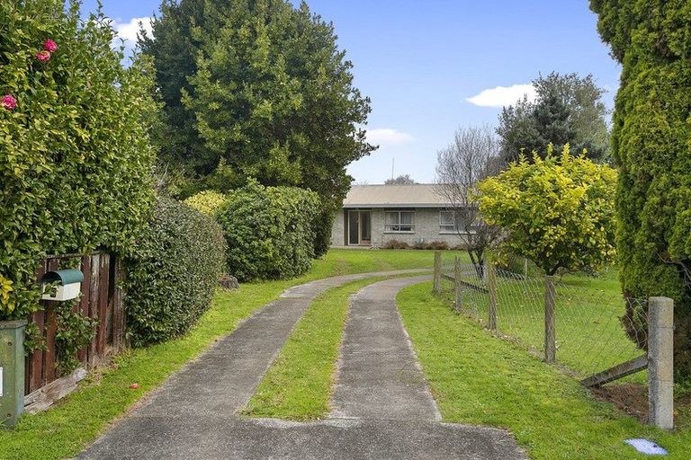 Photo of property in 3 Dickens Place, Leamington, Cambridge, 3432