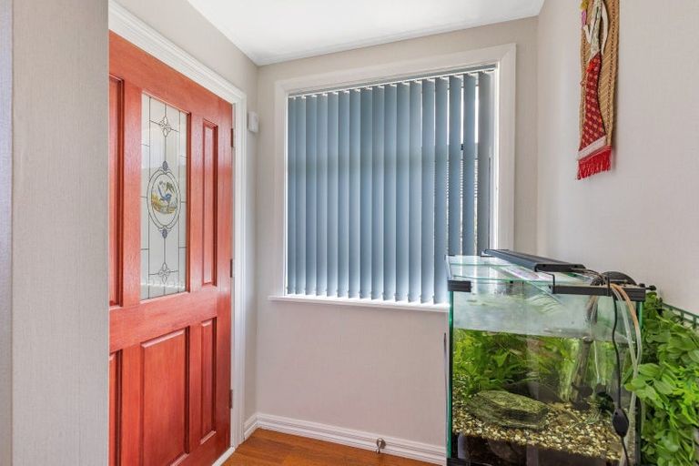 Photo of property in 31 Tyne Street, Roslyn, Dunedin, 9010