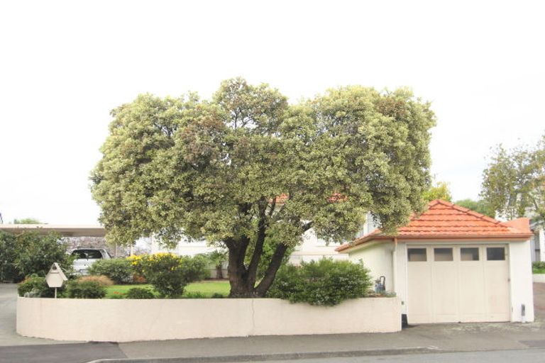 Photo of property in 16 Napier Terrace, Hospital Hill, Napier, 4110