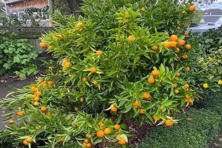 Photo of property in 44 Hathaway Avenue, Boulcott, Lower Hutt, 5010