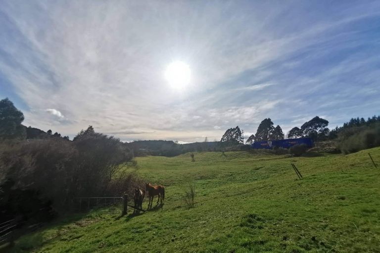 Photo of property in 29 Kaitieke Road, Raurimu, Owhango, 3990