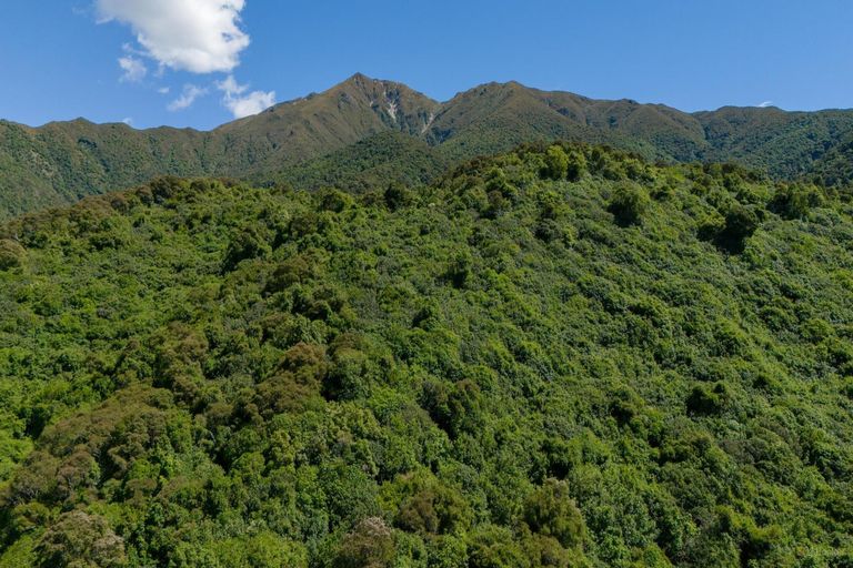 Photo of property in 39 Lookout Road, Peel Forest, Mount Peel, 7992