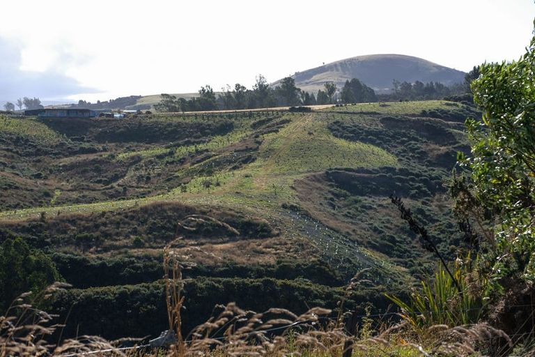 Photo of property in 61 Creamery Road, Ocean View, Dunedin, 9035