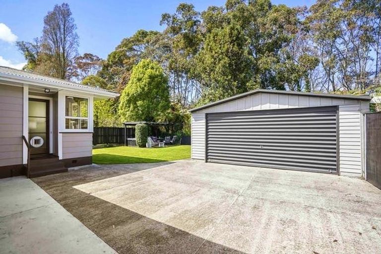 Photo of property in 25 Fitzroy Avenue, Fitzroy, Hamilton, 3206