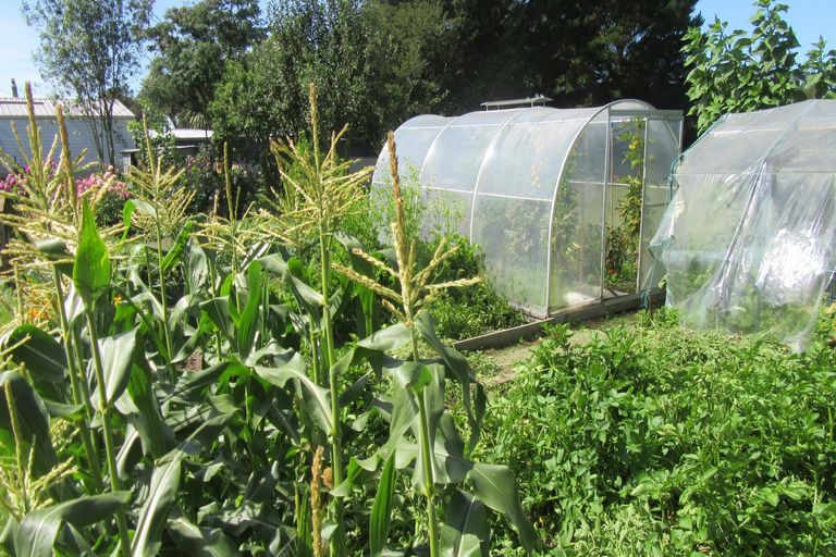 Photo of property in 8 King Street, Waimate, 7924