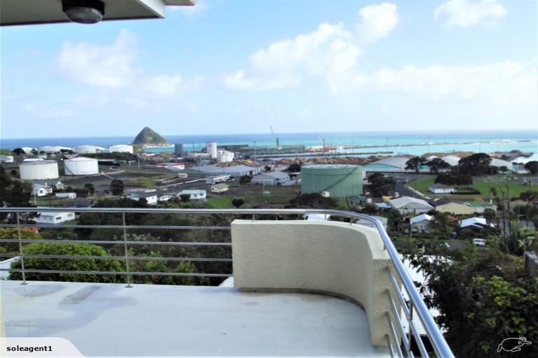 Photo of property in 12c Parris Street, Moturoa, New Plymouth, 4310