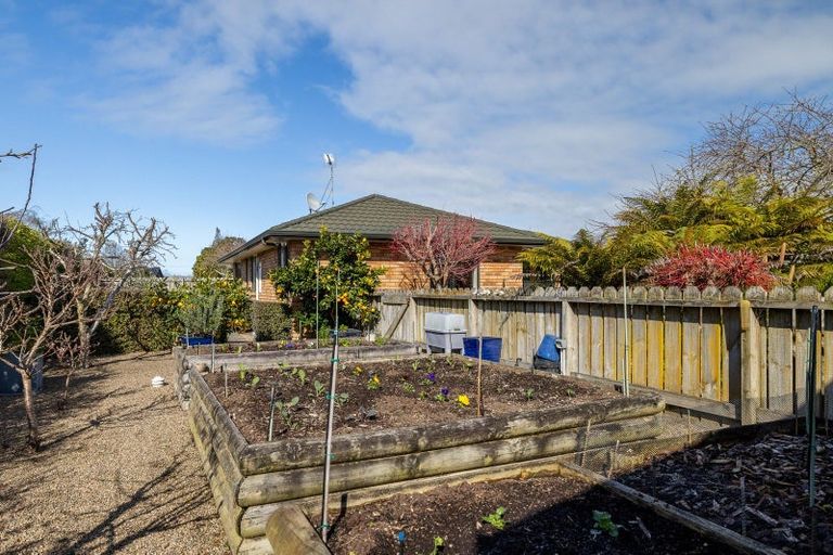 Photo of property in 6 Shadbolt Drive, Leamington, Cambridge, 3432