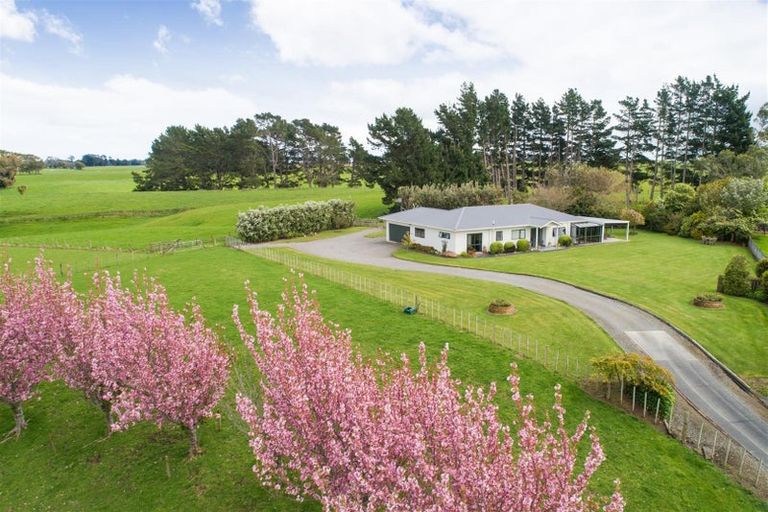 Photo of property in 197 Tutaenui Road, Marton, 4788