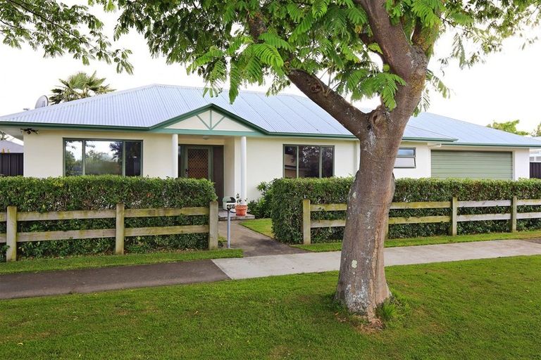 Photo of property in 437 Hemi Street, Raureka, Hastings, 4120