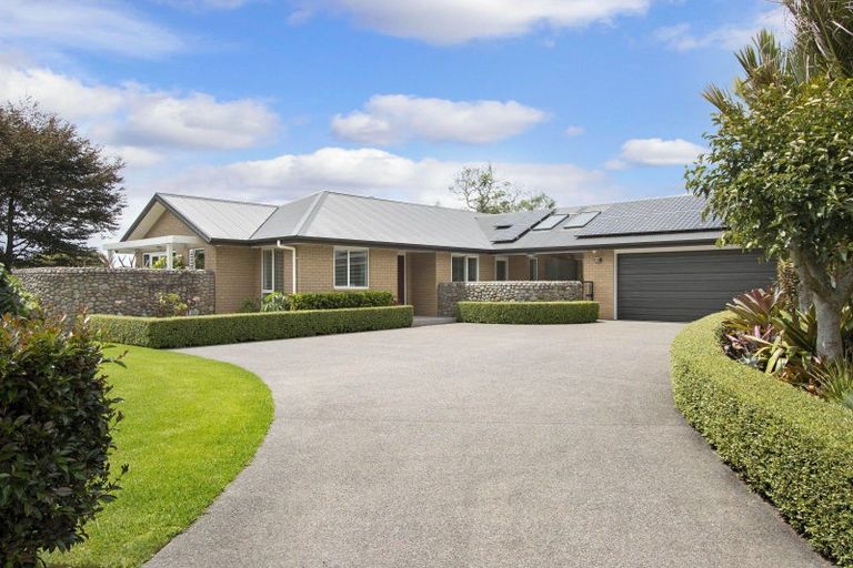 Photo of property in 101 Woodland Road, Tahawai, Katikati, 3170