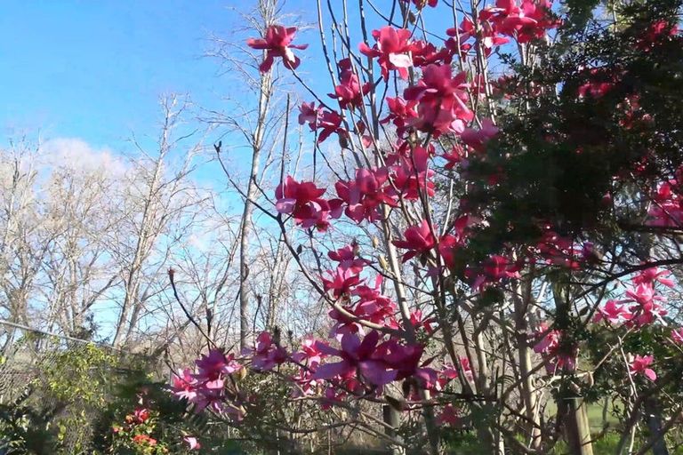 Photo of property in 46 Ruapapa Road, Frasertown, Wairoa, 4195