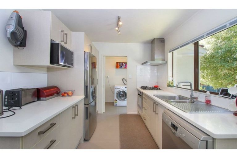 Photo of property in 1/7 Mannering Place, Hillcrest, Auckland, 0627