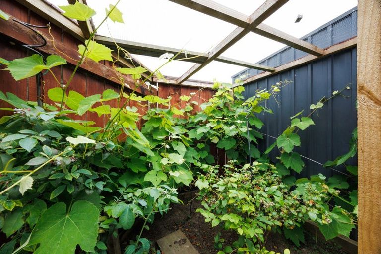 Photo of property in 35 Pegasus Place, Kelvin Grove, Palmerston North, 4414