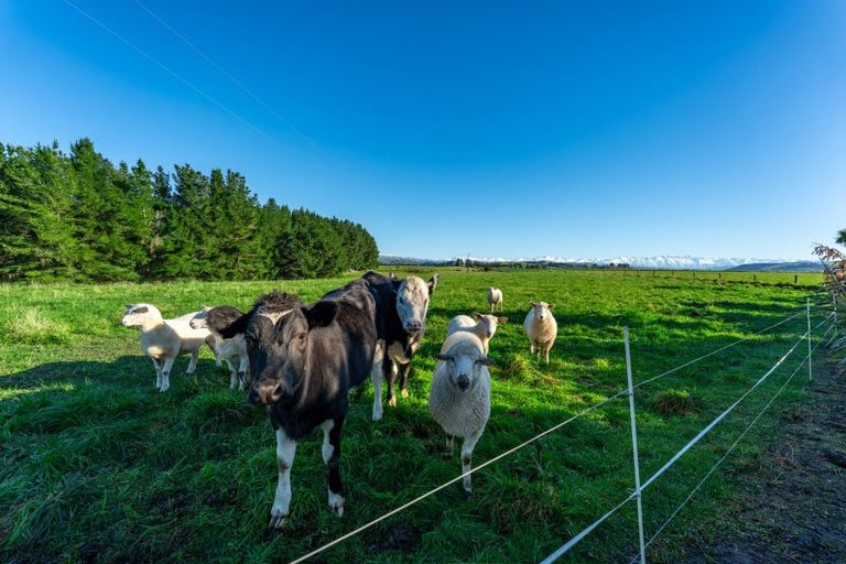 Photo of property in 113 Opihi School Road, Totara Valley, Pleasant Point, 7982