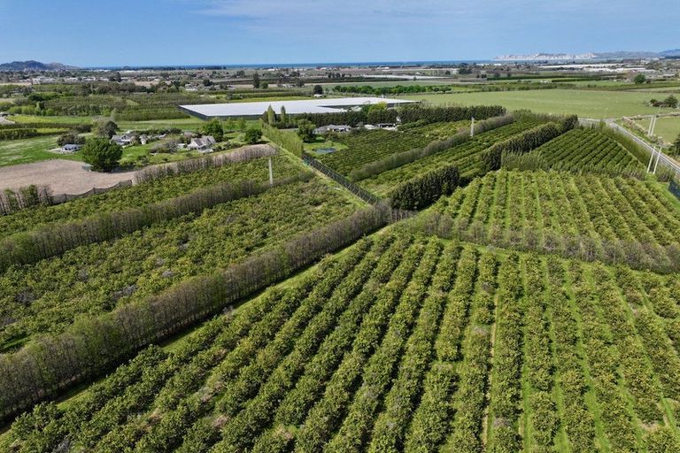 Photo of property in 19 Pilmer Road, Makauri, Gisborne, 4071