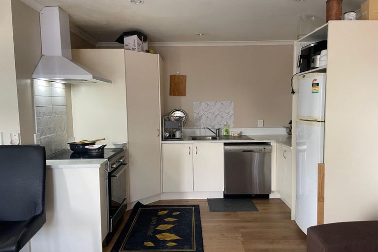 Photo of property in 217b Killarney Road, Frankton, Hamilton, 3204