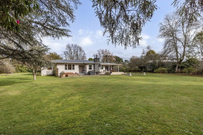 Photo of property in 154 Main Road, Levin, 5510