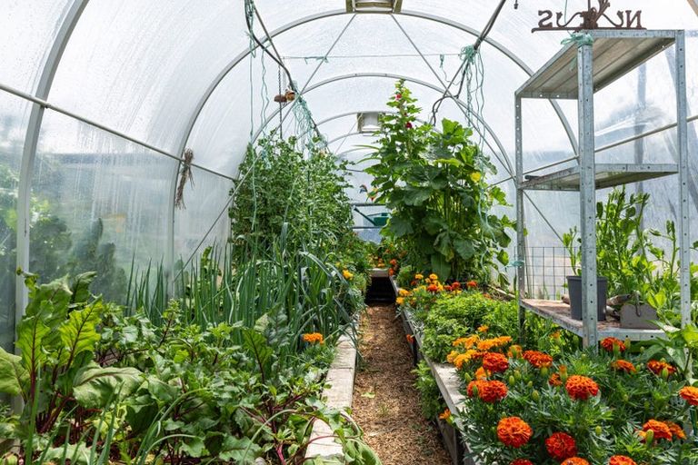 Photo of property in 58 Loach Road, Hawea Flat, Wanaka, 9382