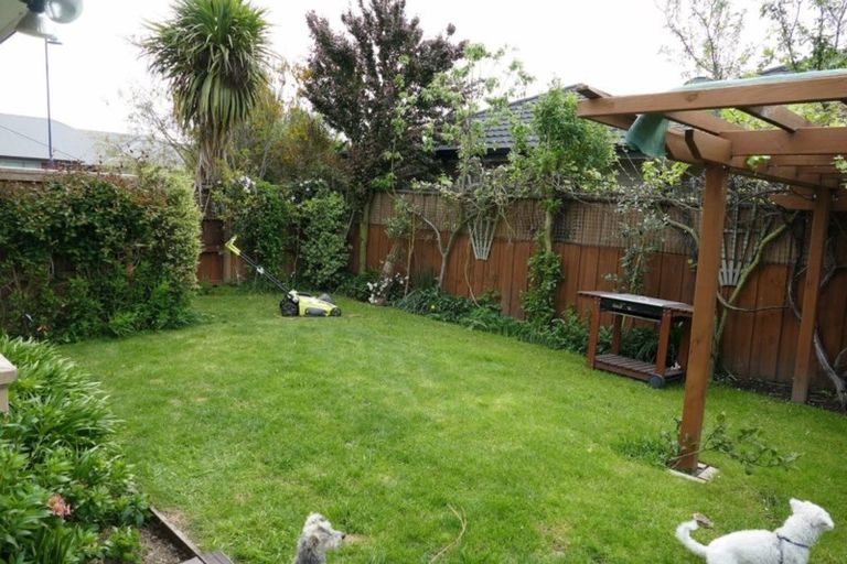 Photo of property in 6 Tommy Street, Pegasus, 7612