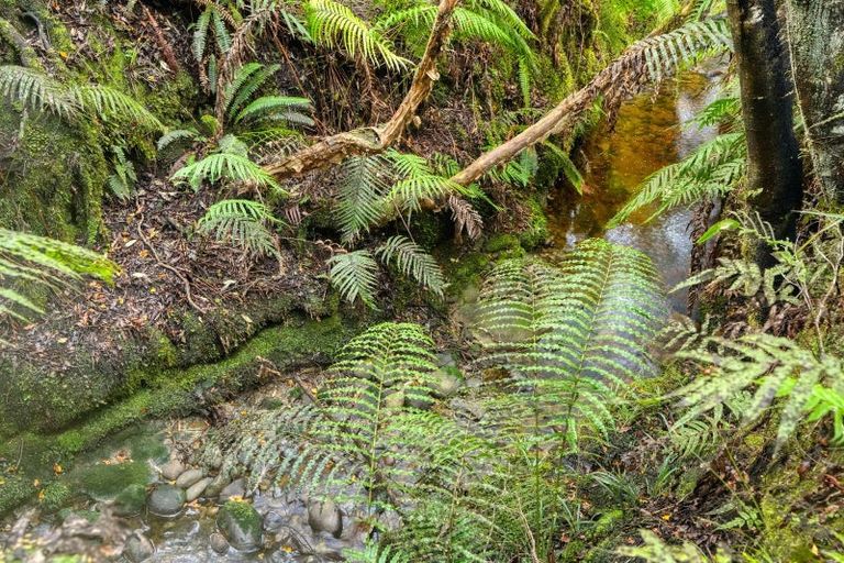 Photo of property in 67c Blue Spur Road, Blue Spur, Hokitika, 7882