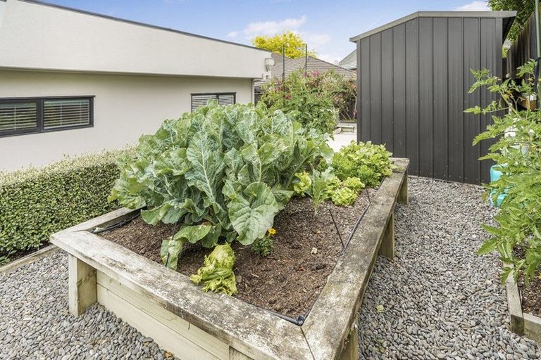 Photo of property in 6 Munro Place, Flagstaff, Hamilton, 3210