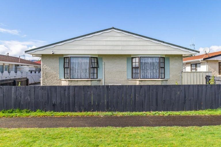 Photo of property in 102 Winchester Street, Levin, 5510