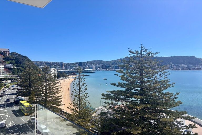 Photo of property in Oriana Apartments, 248 Oriental Parade, Oriental Bay, Wellington, 6011