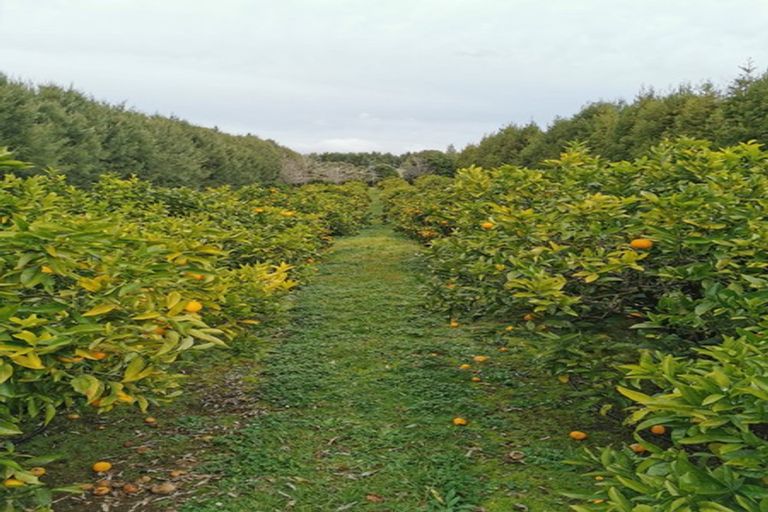 Photo of property in 303 Matua Road, Kumeu, 0891