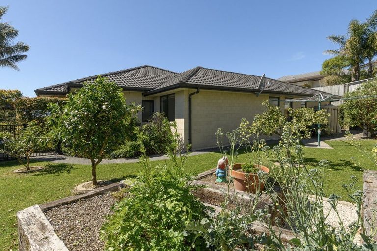 Photo of property in 56 Saint Michaels Avenue, Bethlehem, Tauranga, 3110