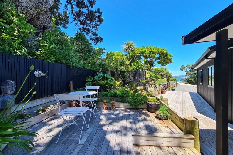 Photo of property in 1600 Wyuna Bay Road, Wyuna Bay, Coromandel, 3581