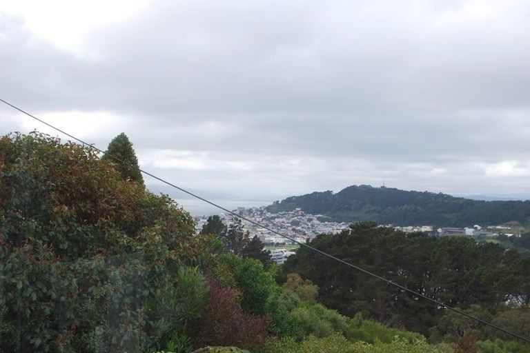 Photo of property in 11 Asquith Terrace, Brooklyn, Wellington, 6021