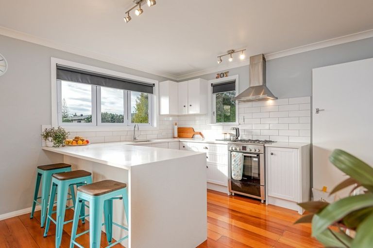 Photo of property in 51 Lincoln Street, Ashhurst, 4810