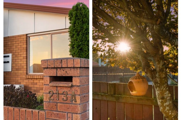 Photo of property in 213a Fifteenth Avenue, Tauranga South, Tauranga, 3112