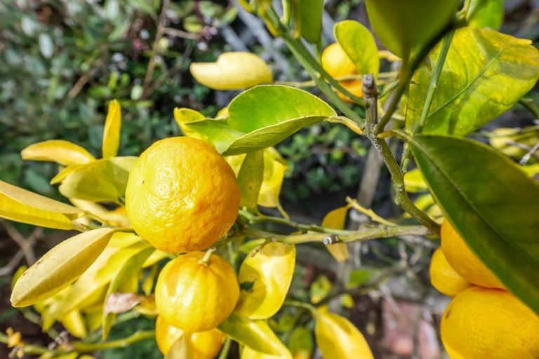 Photo of property in 356 Cambridge Terrace, Naenae, Lower Hutt, 5011